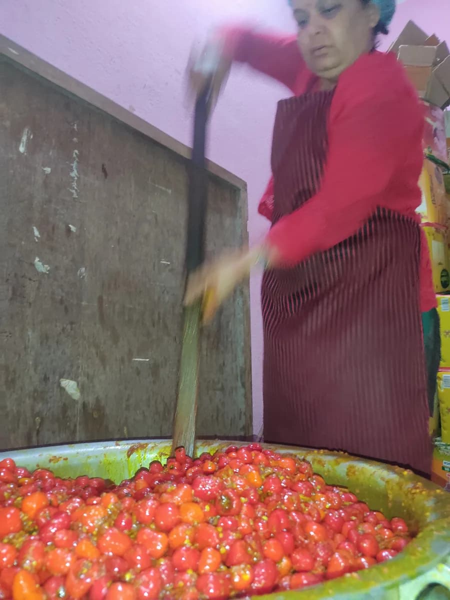 Fresh akabare chilies ready for processing