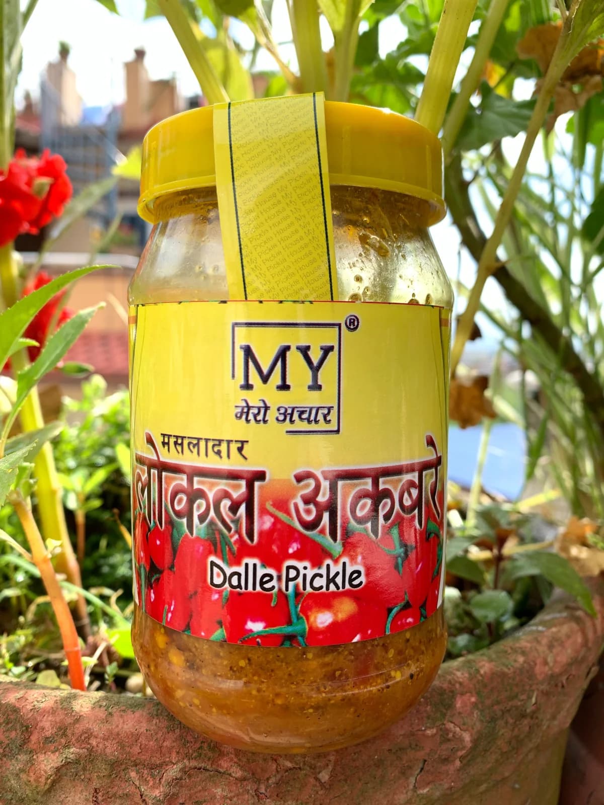 Akabare pickle jar photographed outdoors